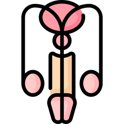 sistema reproductivo icono