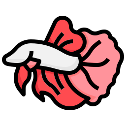 Betta fish icon