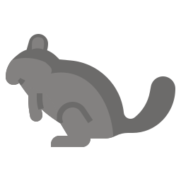 chinchilla icon