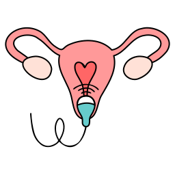 utérus Icône