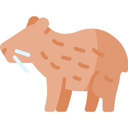 capybara Icône