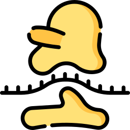 리보솜 icon