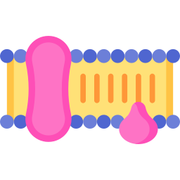 protéine membranaire Icône