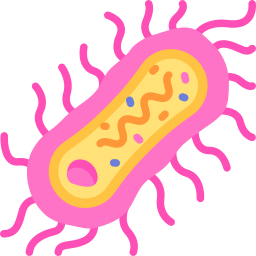 bacterias icono