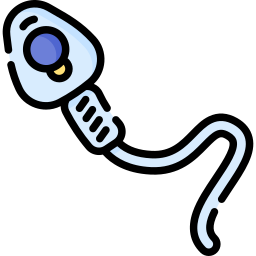 Spermatozoon icon