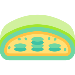 cloroplasto icona