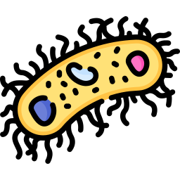 Bacteria icon