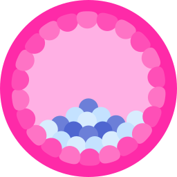 blastocysta ikona