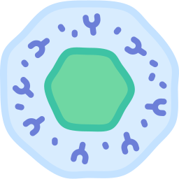 B cell icon