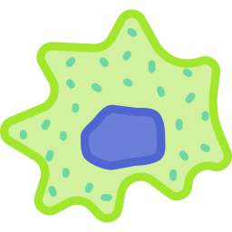 macrophage Icône