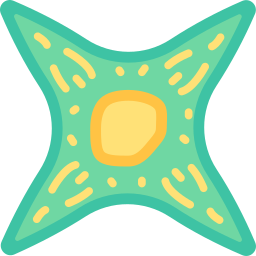 Fibroblast icon