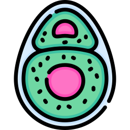 chondrocyt ikona