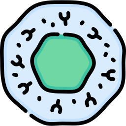 célula b Ícone