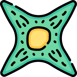 fibroblasto icono