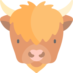 vache des highlands Icône