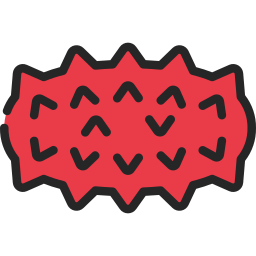 Sea cucumber icon