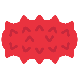 Sea cucumber icon