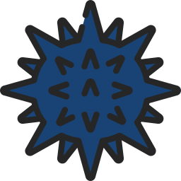 Sea urchin icon