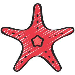 estrella de mar icono