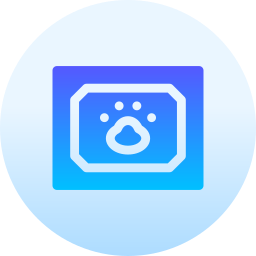 Certificate icon