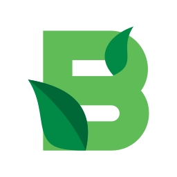 Type b icon