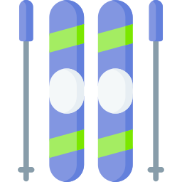 Катание на лыжах иконка