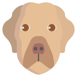 Labrador retriever icon