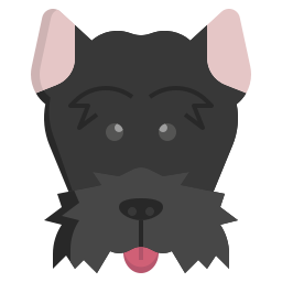 terrier scozzese icona