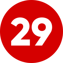 29 icono