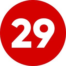 29 Ícone
