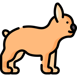 French bulldog icon