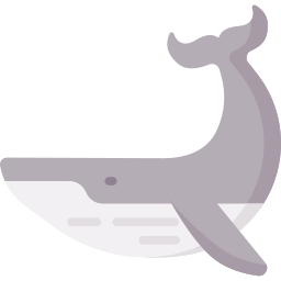 Whale icon