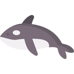 Killer whale icon