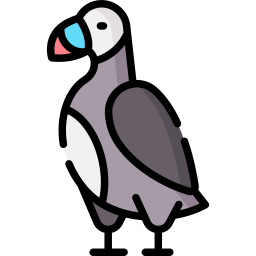 papagaio-do-mar Ícone