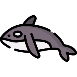 orka icoon