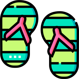 Flip flops icon