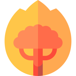 Bushfire icon
