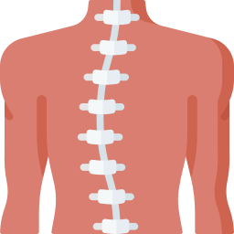 osteotherapie icoon