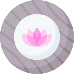 Therapy ball icon