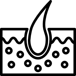 Эпидермис иконка