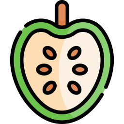 guanabana icon