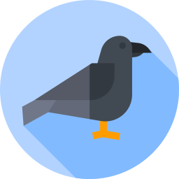 Crow icon