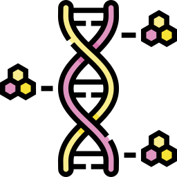 adn Icône