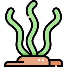 водоросли иконка