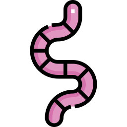 Worm icon