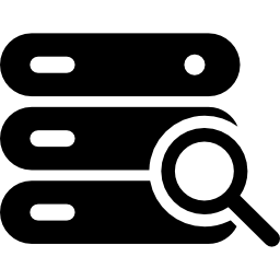 Server Search icon