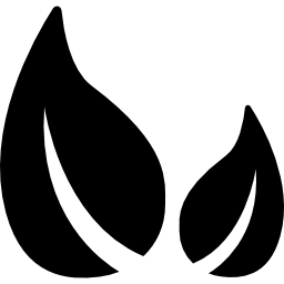 due foglie icona