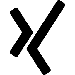 logotipo xing Ícone