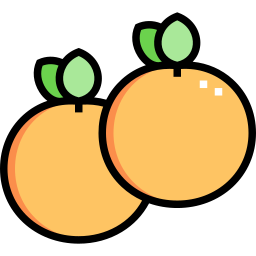 Jeju tangerine icon