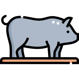 Jeju black pig icon